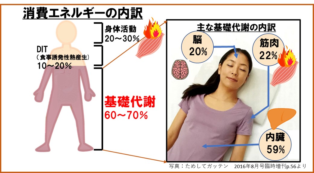 消費エネルギーの内訳