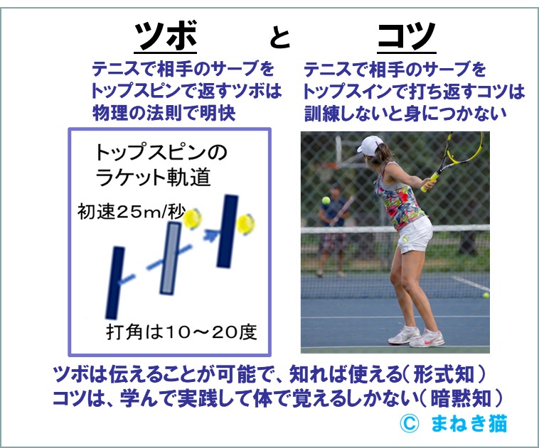 テニスのツボ形式知とコツ暗黙知の例