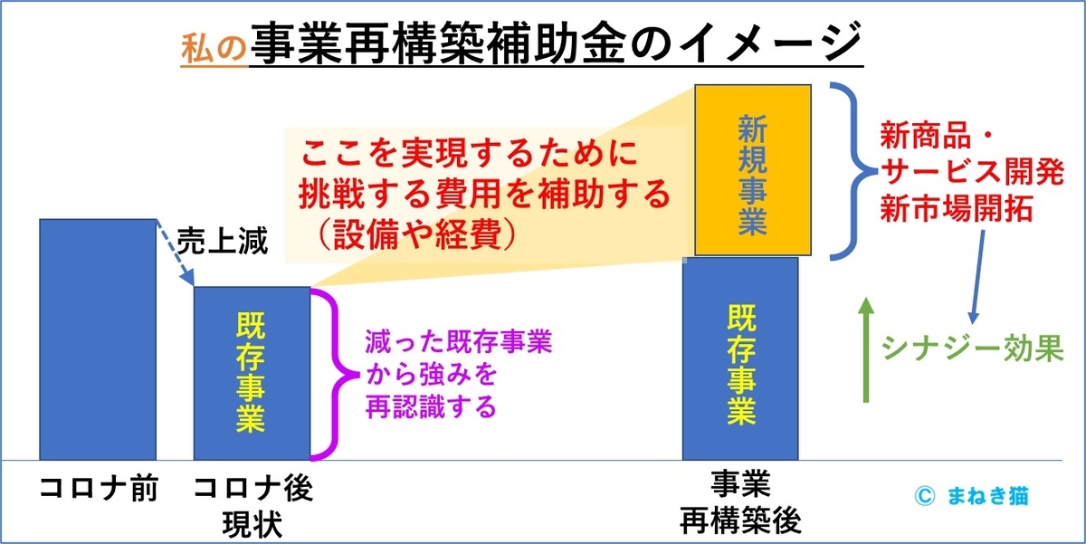 事業再構築補助金の全体像を理解するためのイメージ図