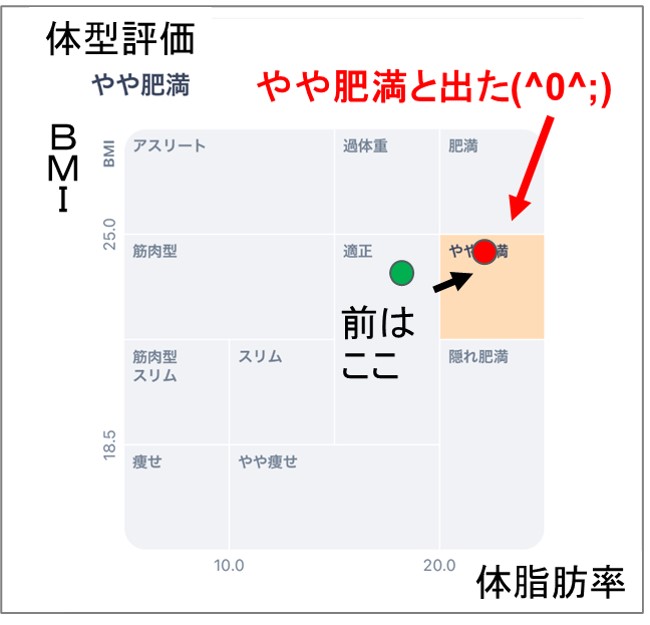 ０－４－体型評価はやや肥満だって