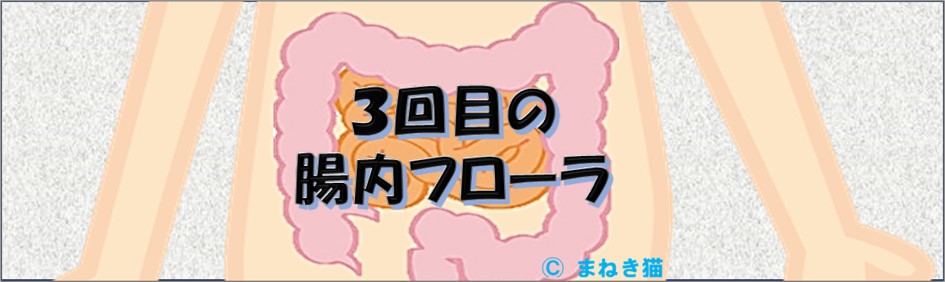 0-表紙-3回目の腸内フローラの検査を受けました