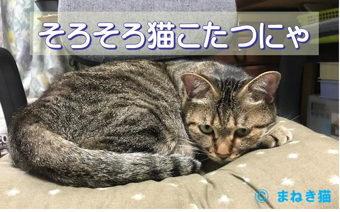 １－１－猫こたつのリクエスト