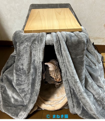 １－３－実際の猫こたつの完成写真