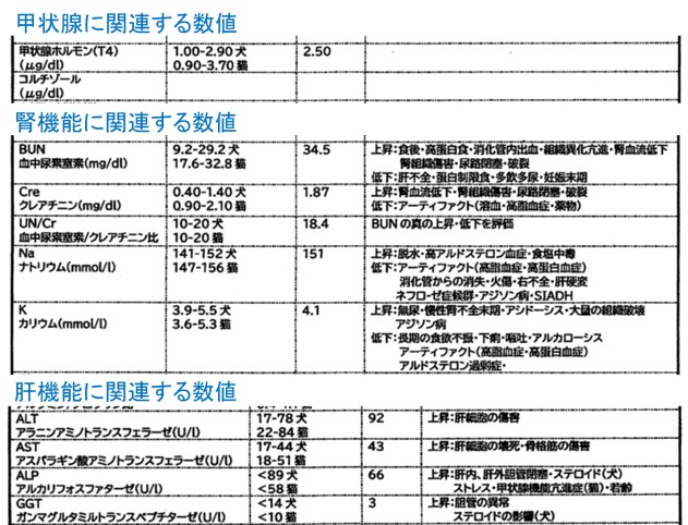 １－３－甲状腺ー腎機能ー肝機能の数値