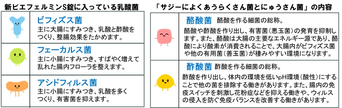 ３－２－摂取しているサプリメントの内容