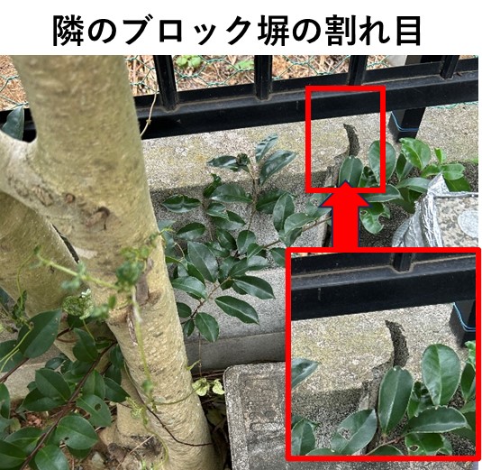 １－３－木の根が成長しすぎてブロックを押し上げる