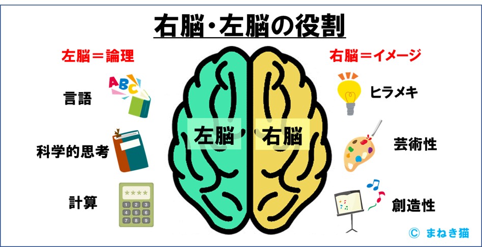 １－１－右脳と左脳の役割
