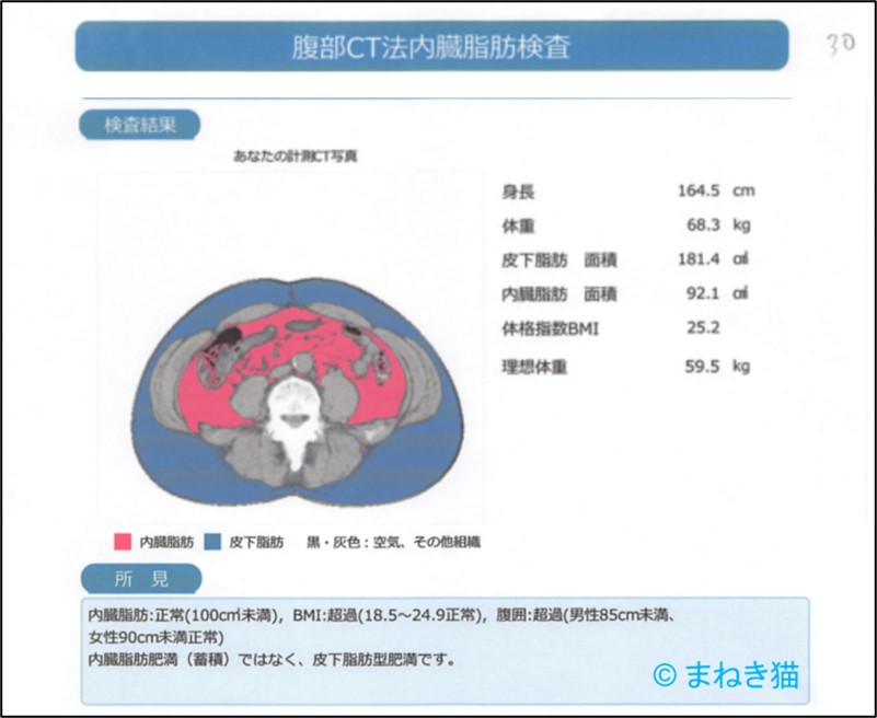 2-3-腹部CT法による内臓脂肪検査結果