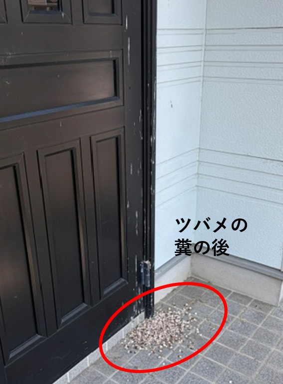 ３－ツバメの糞のあと