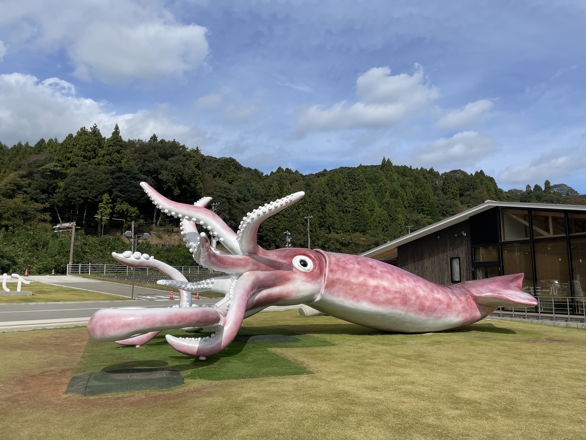 するめいか 半丸１５キロ するめいか様専用 半丸15キロ 雄大