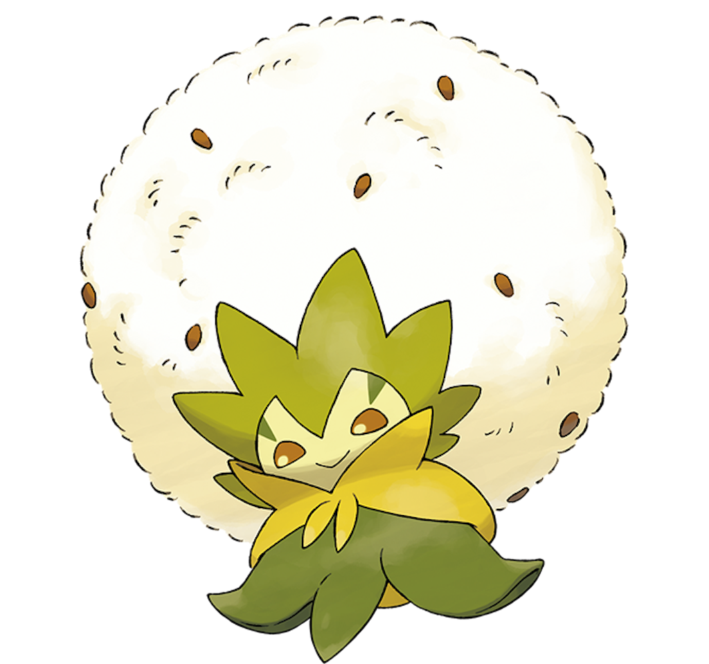 f:id:my5159:20190810153234p:image f:id:my5159:20190810153234p:image