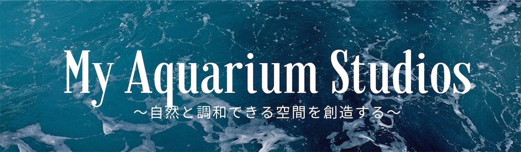 f:id:my_aquarium_studios:20200323170046j:image