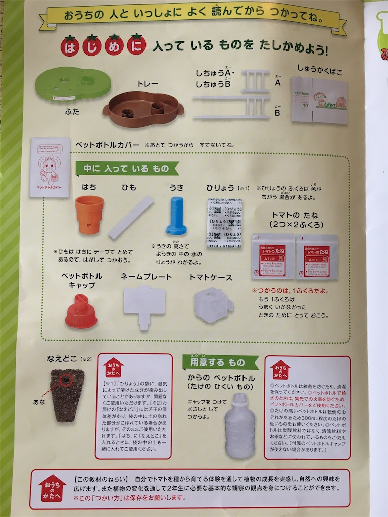 チャレンジ2年生】水のはたけでそだてる四角いトマトの進捗 & LINE窓口
