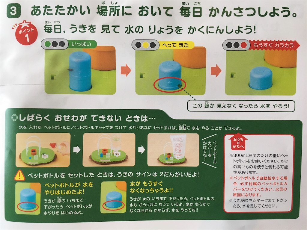チャレンジ2年生】水のはたけでそだてる四角いトマトの進捗 & LINE窓口