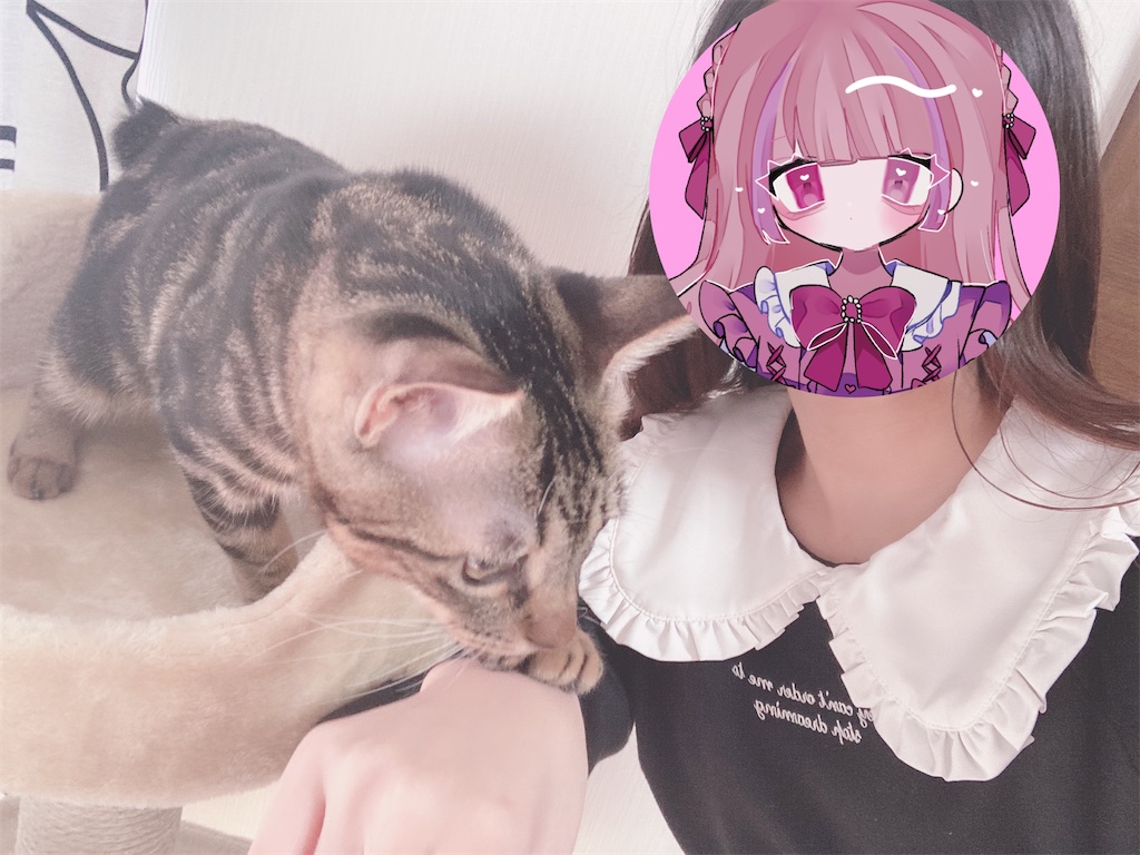 f:id:my_pudding:20230731173027j:image f:id:my_pudding:20230731173027j:image