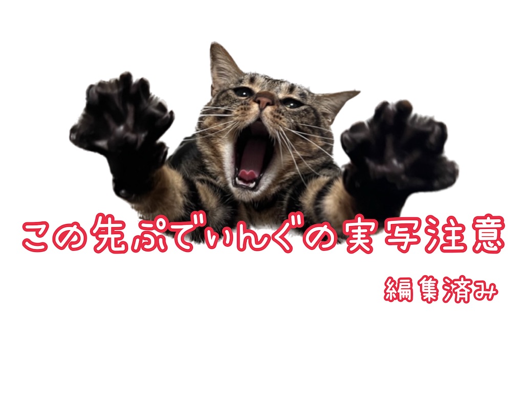 f:id:my_pudding:20230731173618j:image f:id:my_pudding:20230731173618j:image
