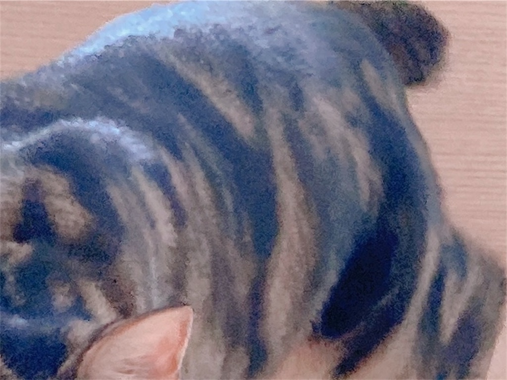 f:id:my_pudding:20230801133341j:image f:id:my_pudding:20230801133341j:image
