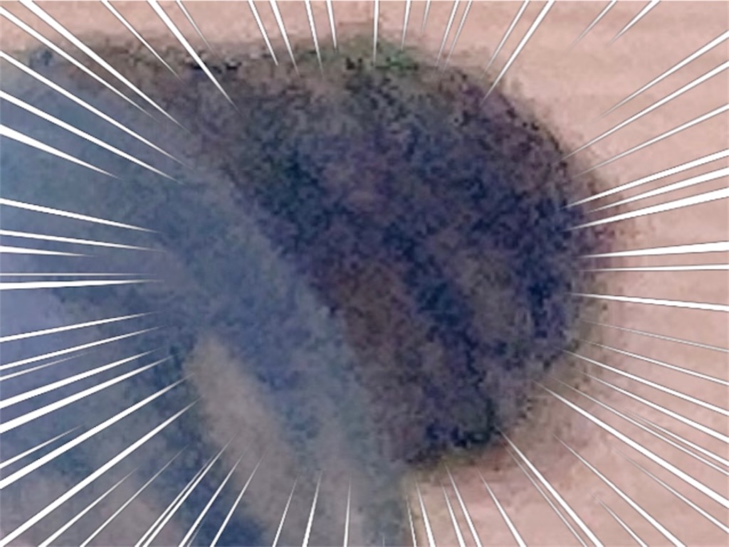f:id:my_pudding:20230801133352j:image f:id:my_pudding:20230801133352j:image