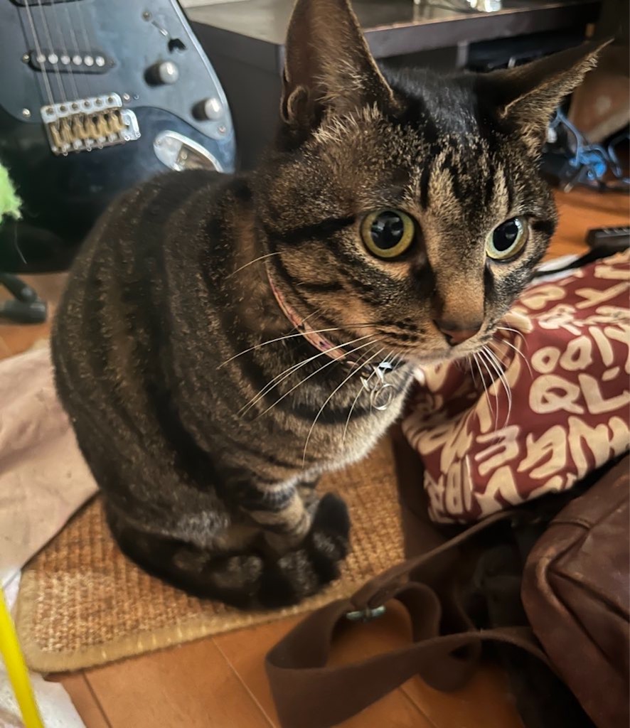 f:id:myaa-non:20220427190044j:image