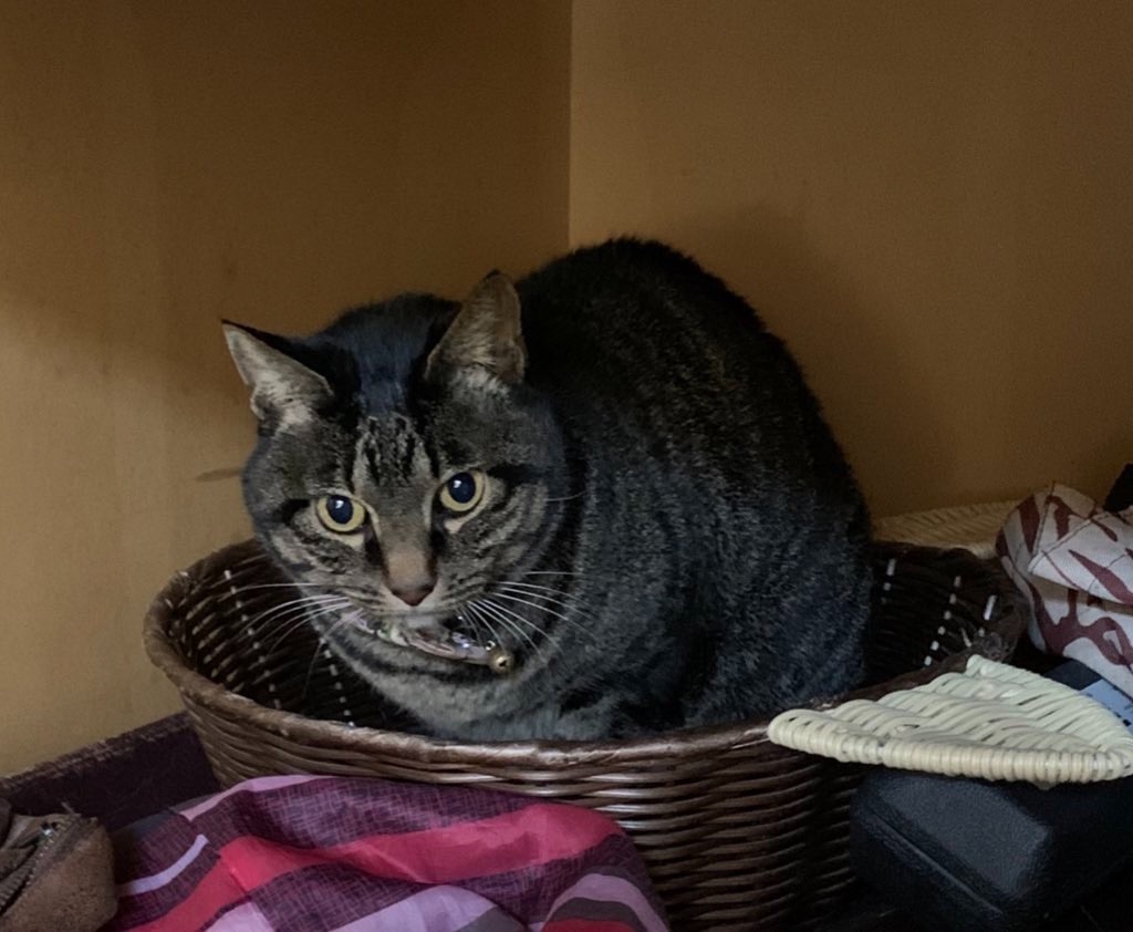 f:id:myaa-non:20220427190134j:image