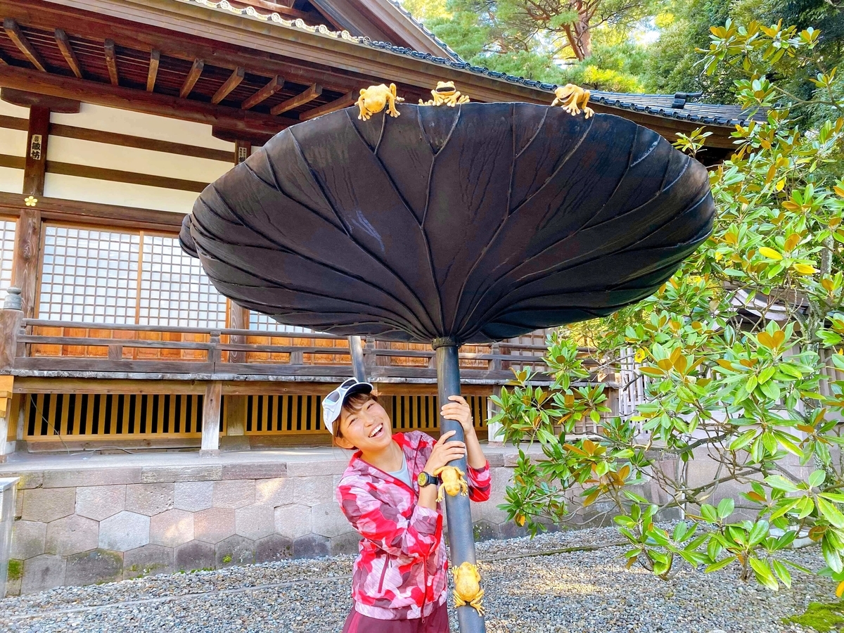 f:id:myaco-run:20191216165951j:plain f:id:myaco-run:20191216165951j:plain