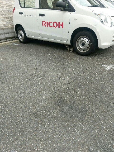 f:id:myadomachi:20160809110307j:plain