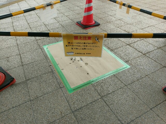 f:id:myadomachi:20160813171446j:plain