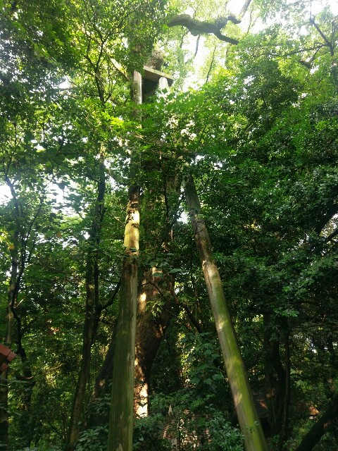 f:id:myadomachi:20160821173850j:plain