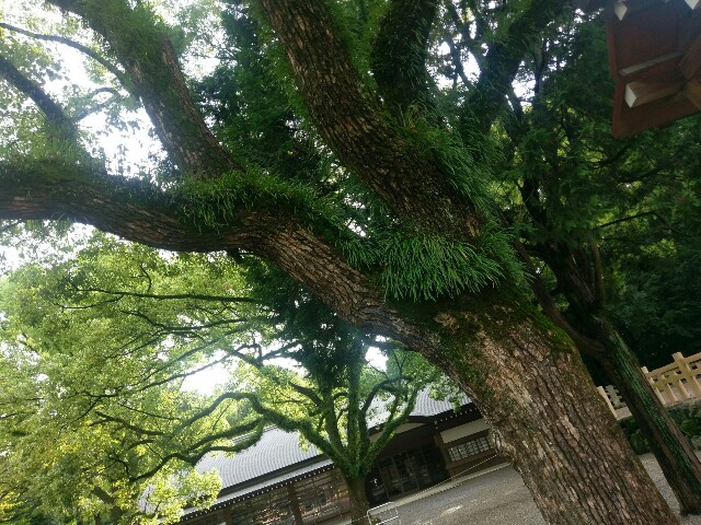 f:id:myadomachi:20160821173935j:plain