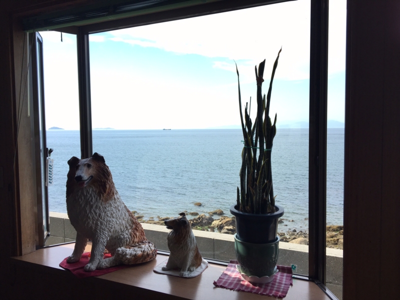 f:id:myadomachi:20160916172738j:plain f:id:myadomachi:20160916172738j:plain