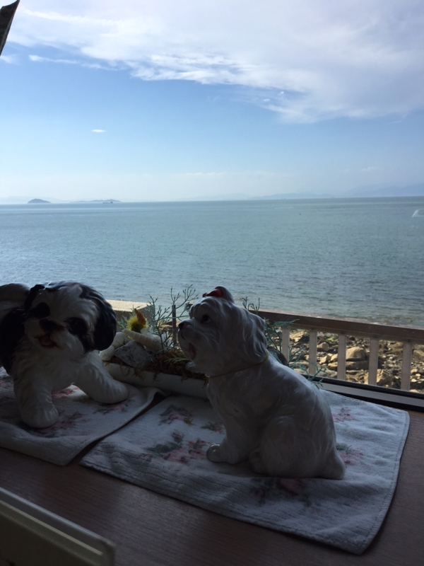 f:id:myadomachi:20160916172740j:plain f:id:myadomachi:20160916172740j:plain