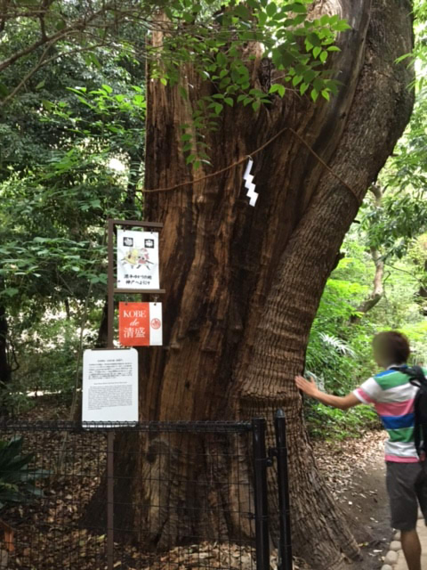 f:id:myadomachi:20161103213204j:plain f:id:myadomachi:20161103213204j:plain