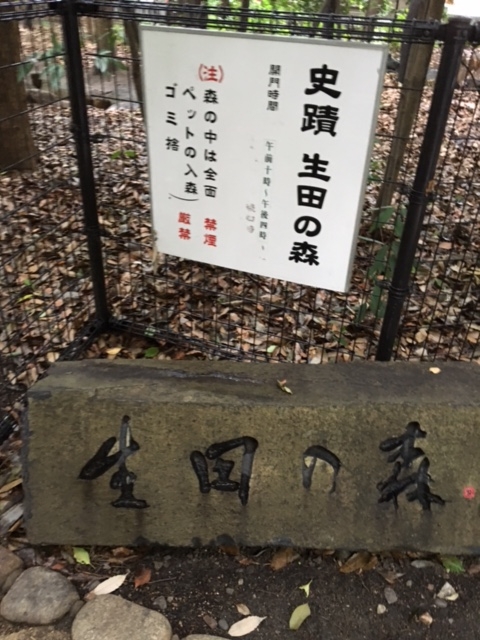 f:id:myadomachi:20161103213205j:plain f:id:myadomachi:20161103213205j:plain