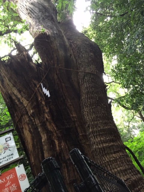 f:id:myadomachi:20161103213206j:plain f:id:myadomachi:20161103213206j:plain