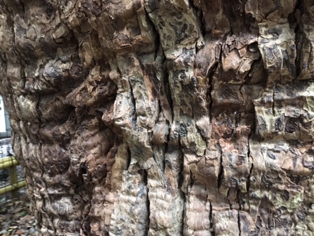 f:id:myadomachi:20161103213207j:plain f:id:myadomachi:20161103213207j:plain