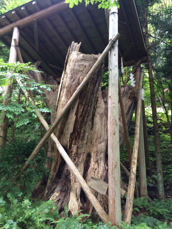 f:id:myadomachi:20161104205755j:plain f:id:myadomachi:20161104205755j:plain