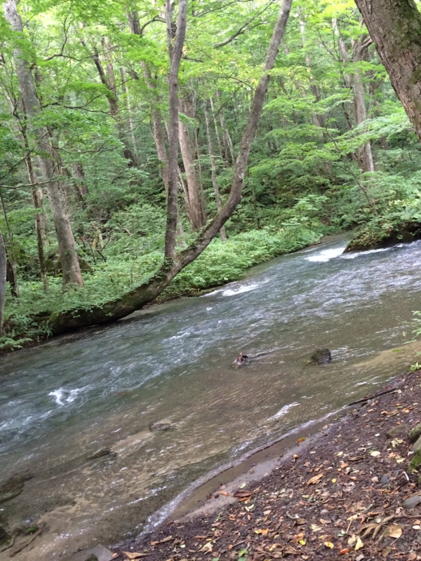 f:id:myadomachi:20161114062542j:plain f:id:myadomachi:20161114062542j:plain