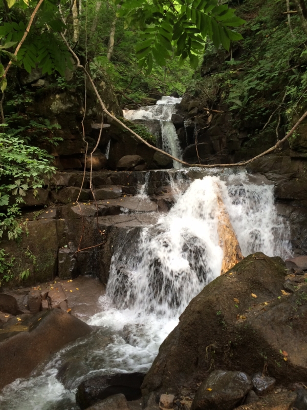 f:id:myadomachi:20161114062543j:plain f:id:myadomachi:20161114062543j:plain