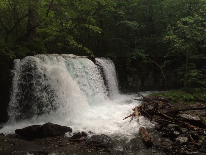 f:id:myadomachi:20161114062545j:plain f:id:myadomachi:20161114062545j:plain