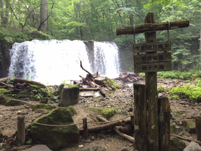 f:id:myadomachi:20161114062547j:plain f:id:myadomachi:20161114062547j:plain