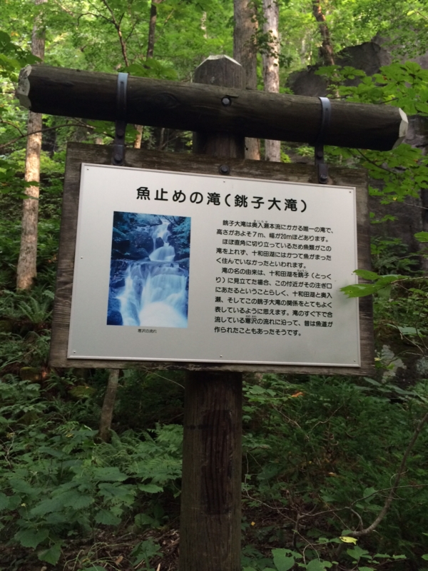 f:id:myadomachi:20161114062548j:plain f:id:myadomachi:20161114062548j:plain