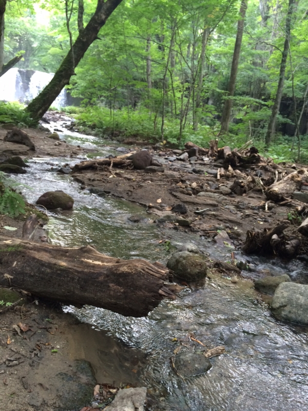 f:id:myadomachi:20161114062550j:plain f:id:myadomachi:20161114062550j:plain