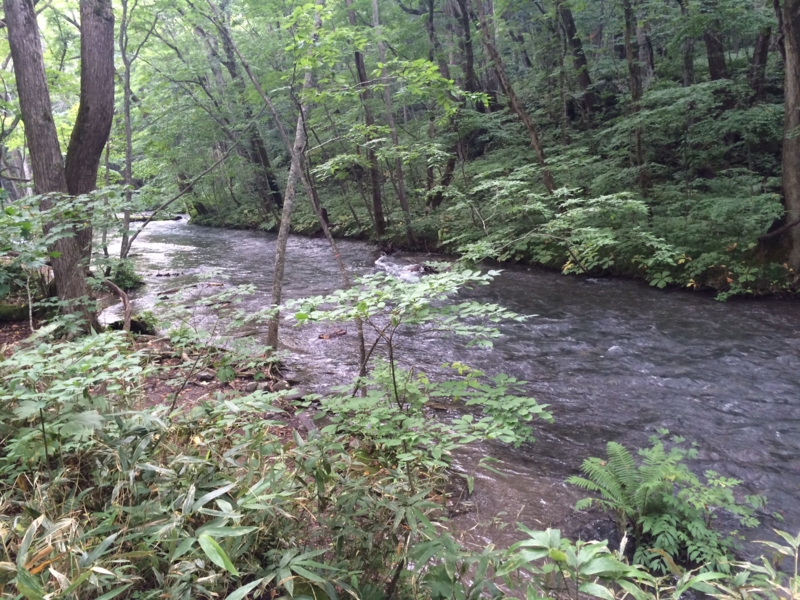 f:id:myadomachi:20161114062551j:plain f:id:myadomachi:20161114062551j:plain