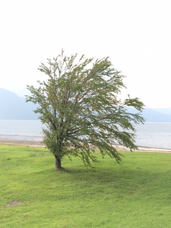 f:id:myadomachi:20161114062739j:plain f:id:myadomachi:20161114062739j:plain