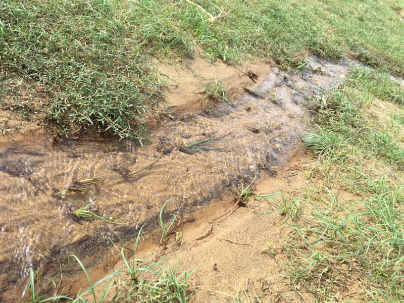 f:id:myadomachi:20161127071800j:plain f:id:myadomachi:20161127071800j:plain