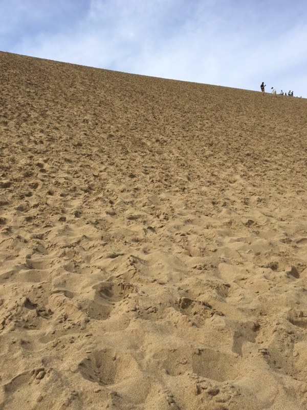 f:id:myadomachi:20161127071802j:plain f:id:myadomachi:20161127071802j:plain