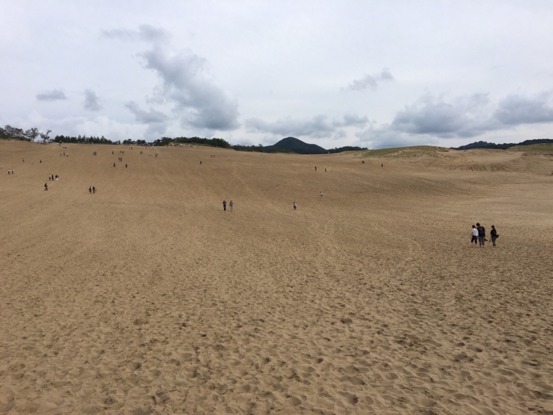 f:id:myadomachi:20161127072159j:plain f:id:myadomachi:20161127072159j:plain