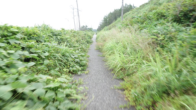 f:id:myalv:20160709193700j:plain