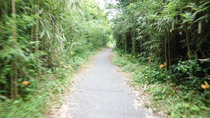 f:id:myalv:20160709193721j:plain