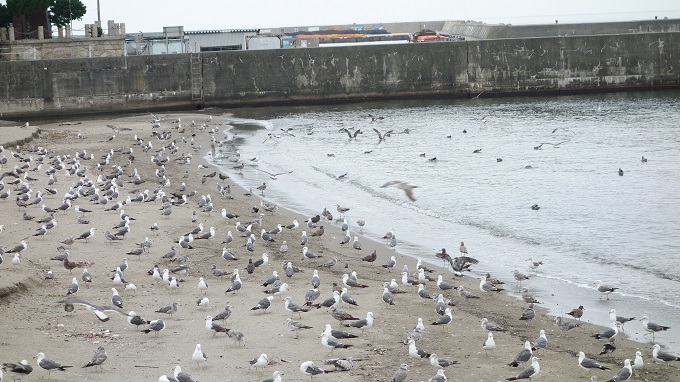 f:id:myalv:20160709193905j:plain